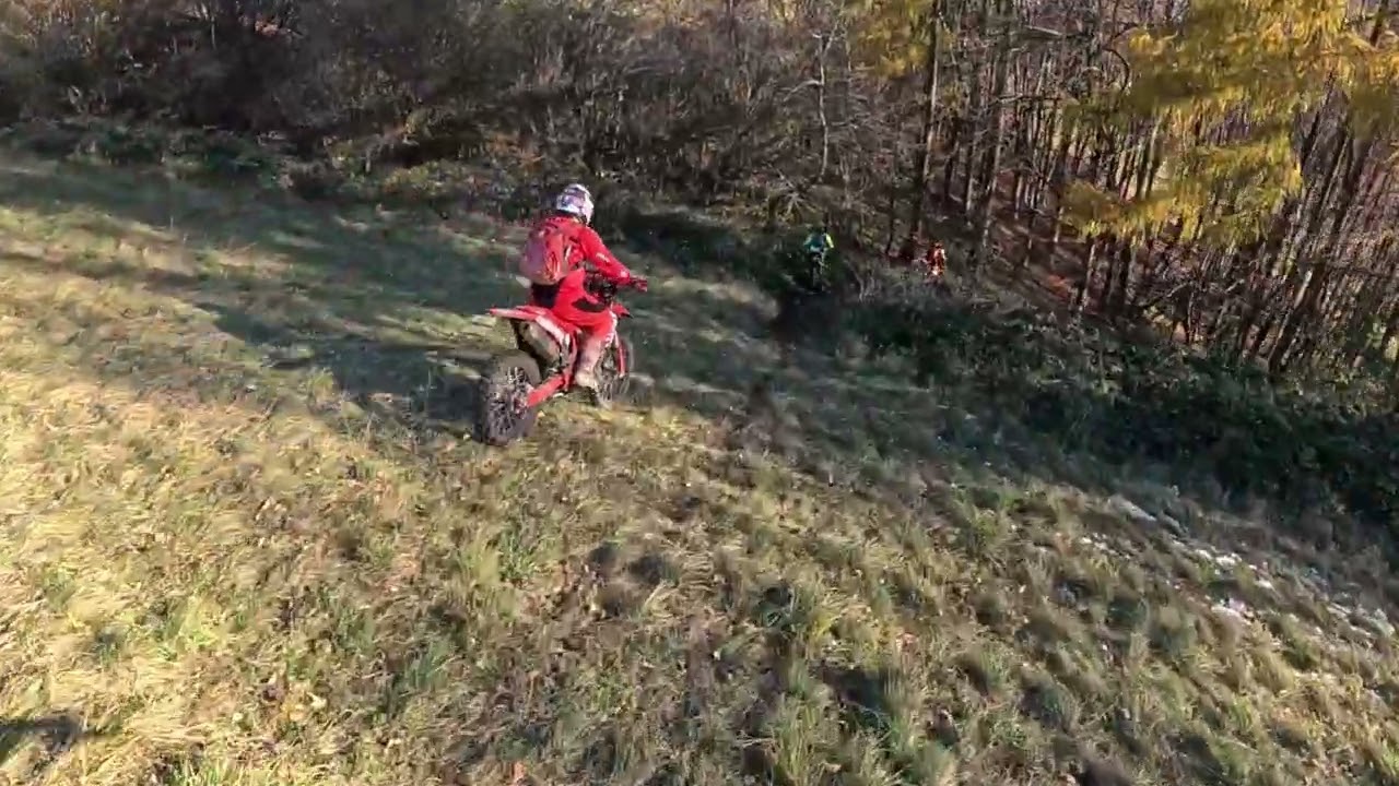 Coppa piacentina e il cotechino 4K