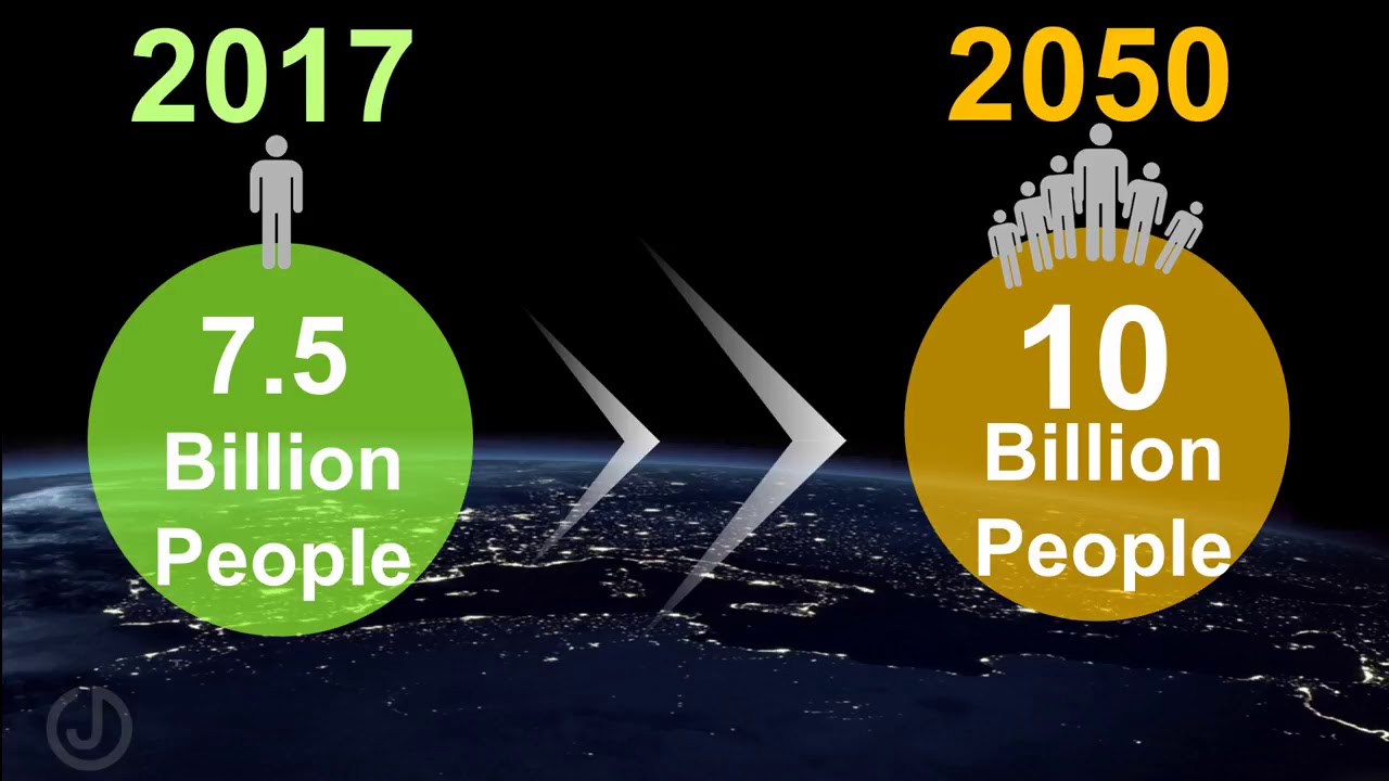 Wusstest du schon Internet im Jahr 2050