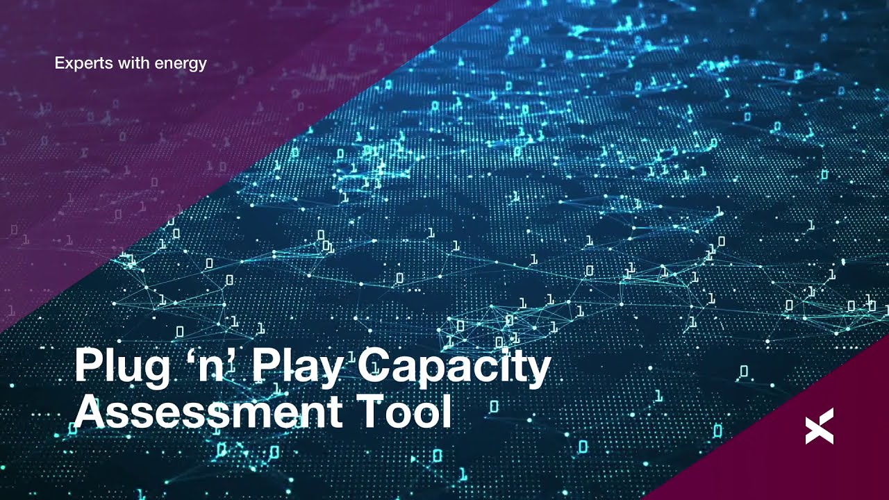 Plug 'n' Play Capacity Assessment Tool