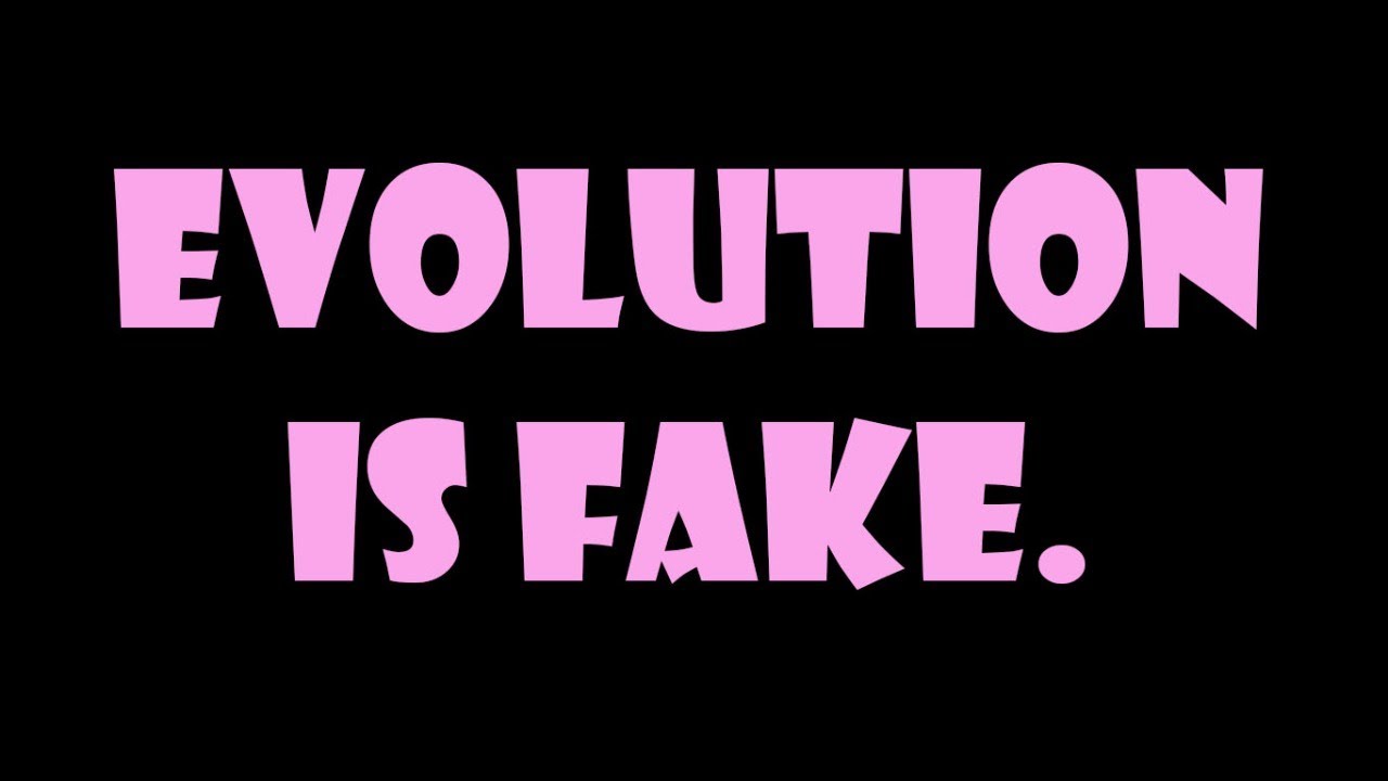 DEBATE: Evolution is Fake