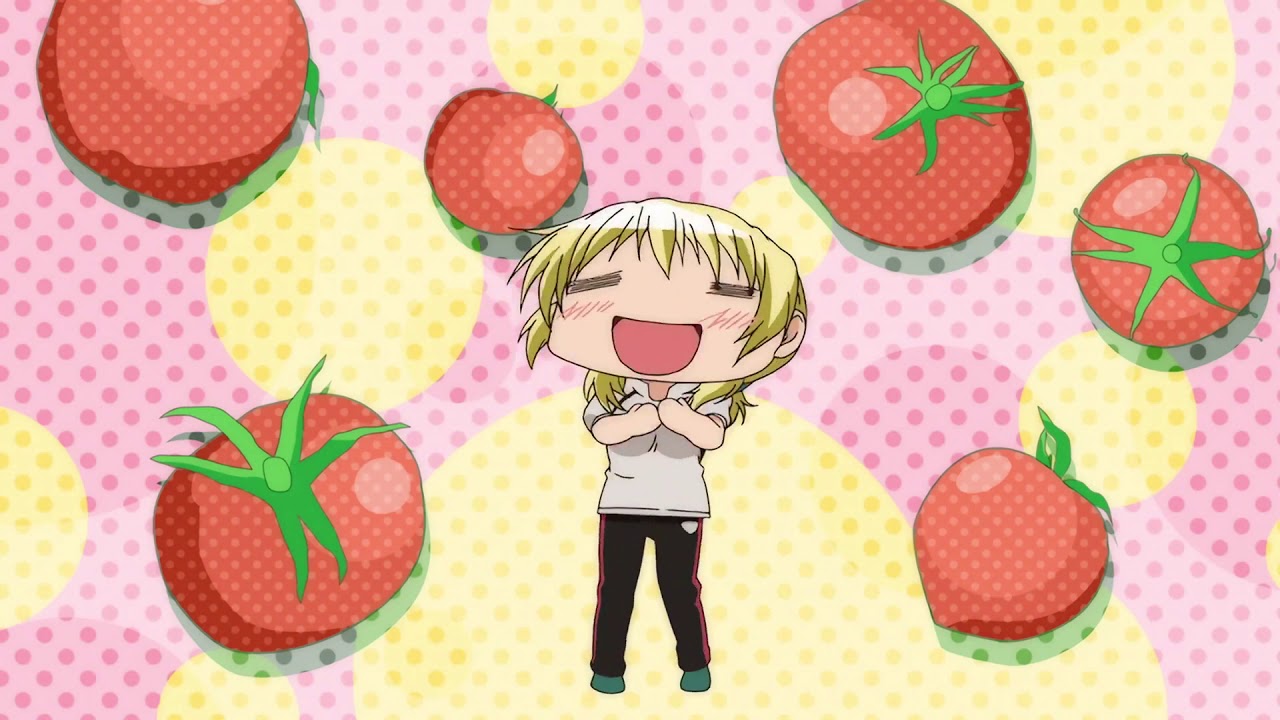 Hidamari Sketch Taiyou to GO!!