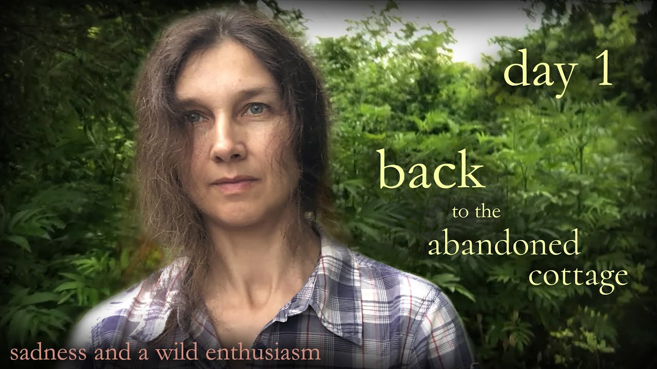 my childhood cottage, now taken by nature | day 1 – the emotional return