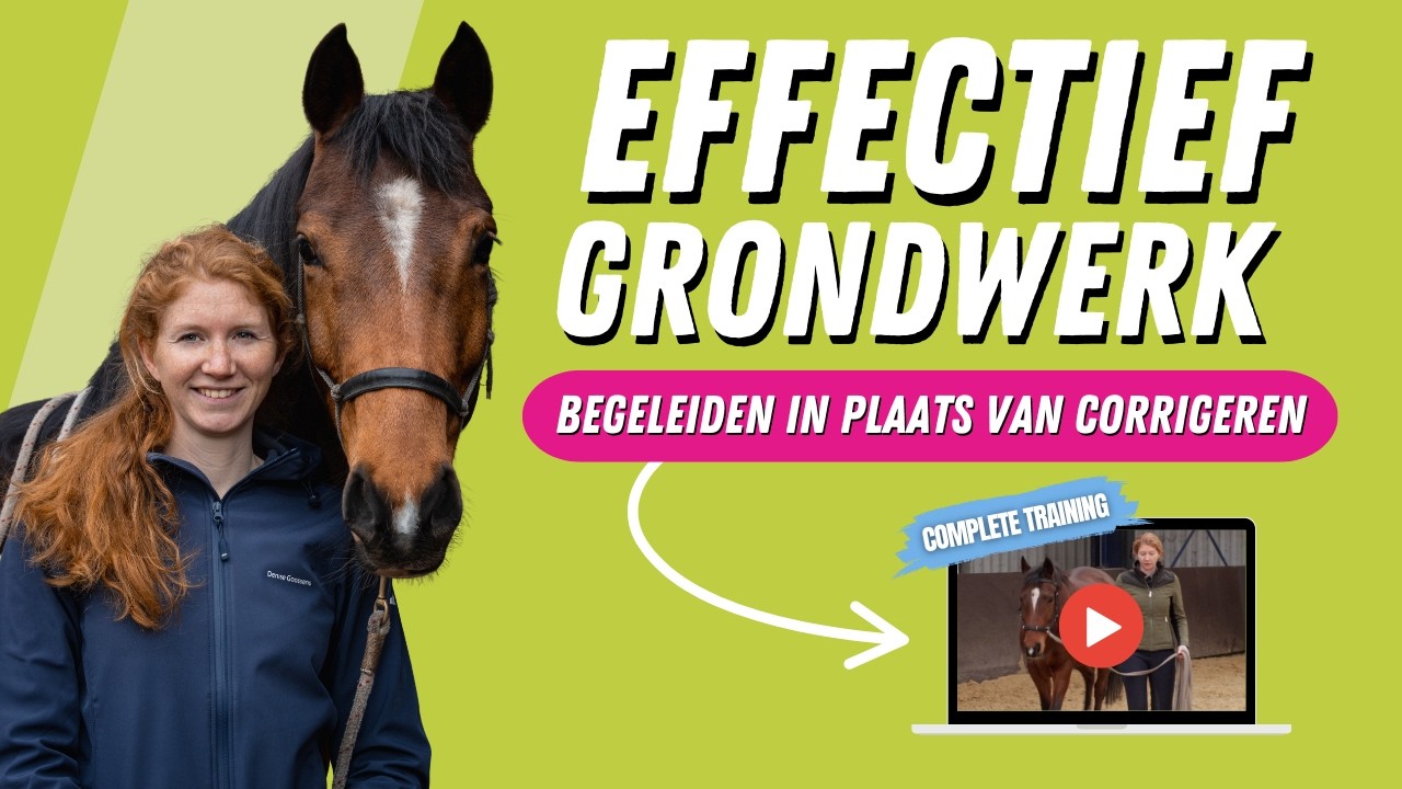 Geen eindeloze rondjes longeren | Effectief grondwerk met de regel van 3 😲