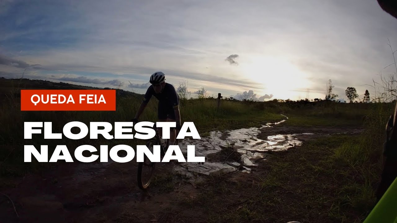Queda feia na Flona - Floresta Nacional de Brasília 