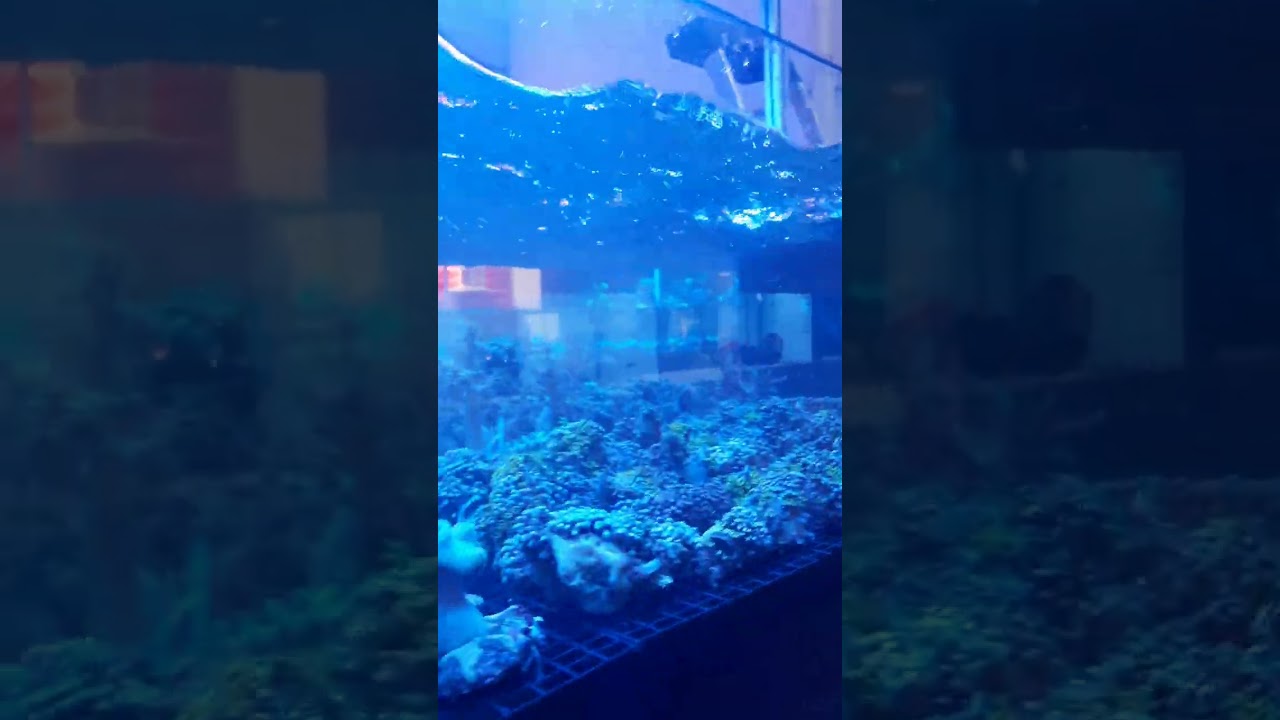 pompe Tunze 6105 hub eco la puissance à l état pur