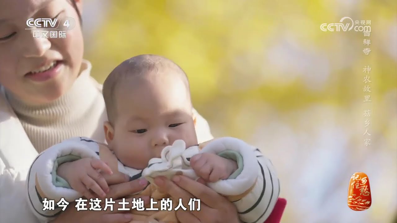 《记住乡愁》第十季 20240222 吉祥寺——神农故里 菇乡人家|CCTV中文