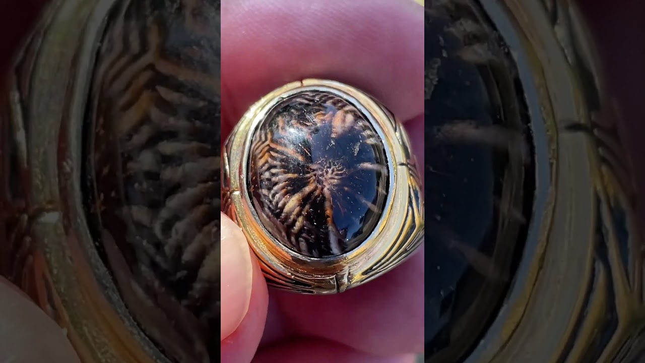 Akik Teratai Hitam Mata Tunggal - Natural Fossilized Polyp Coral Chalcedony