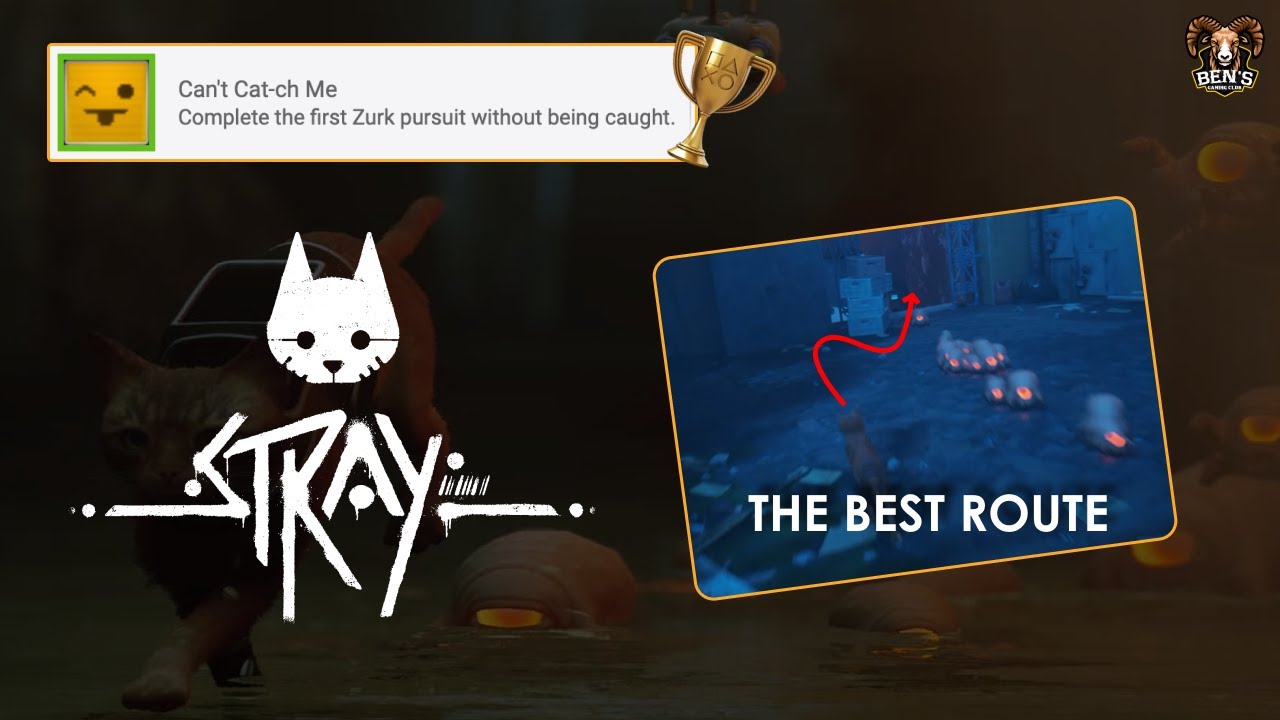 Can't Cat-ch Me Trophy Guide | Stray