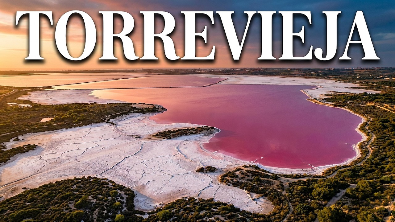 TORRVIEJA TOURS