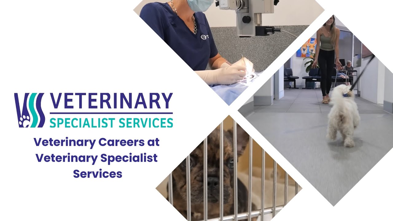 Veterinary Careers at Veterinary Specialist Services