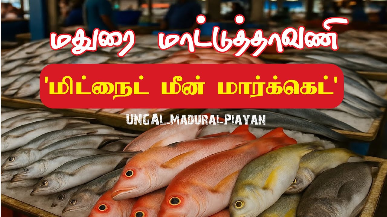 மாட்டுத்தாவணி மீன் மார்க்கெட் | Fish market| whole sale fish market in madurai. #madurai #fish #food