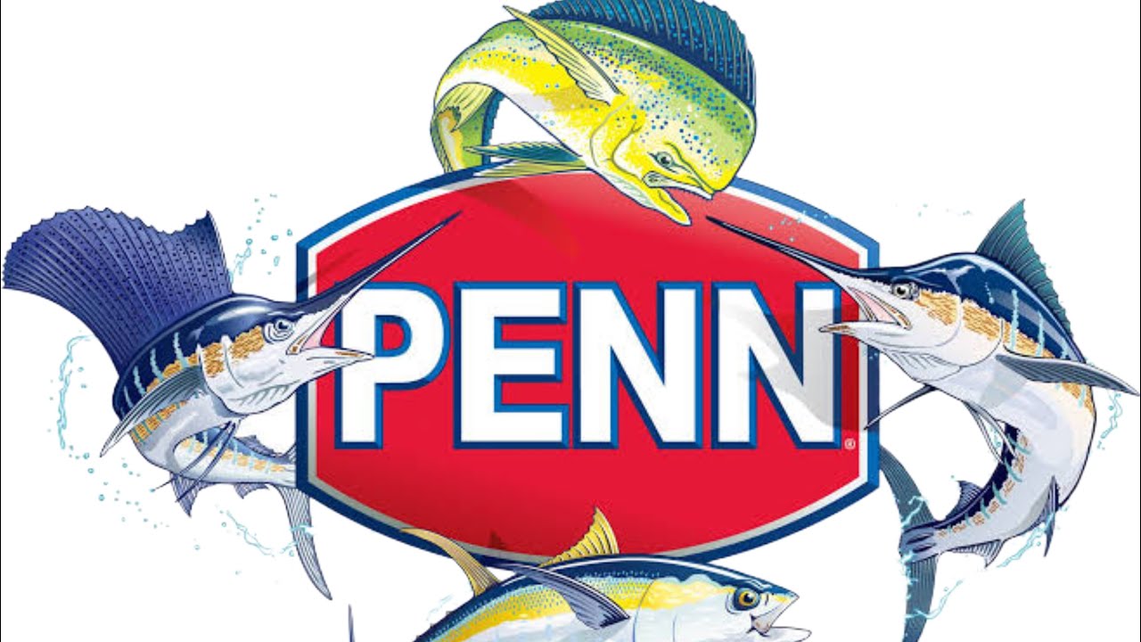 Penn International Reels / Pursuit / Feirce  / Battle 3 dx / All best Saltwater Reels at Best Price