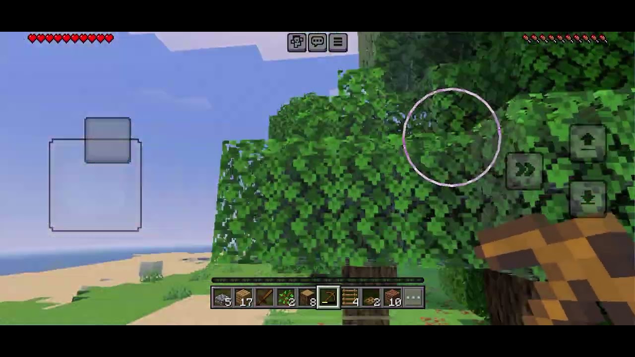 Minecraft pt1