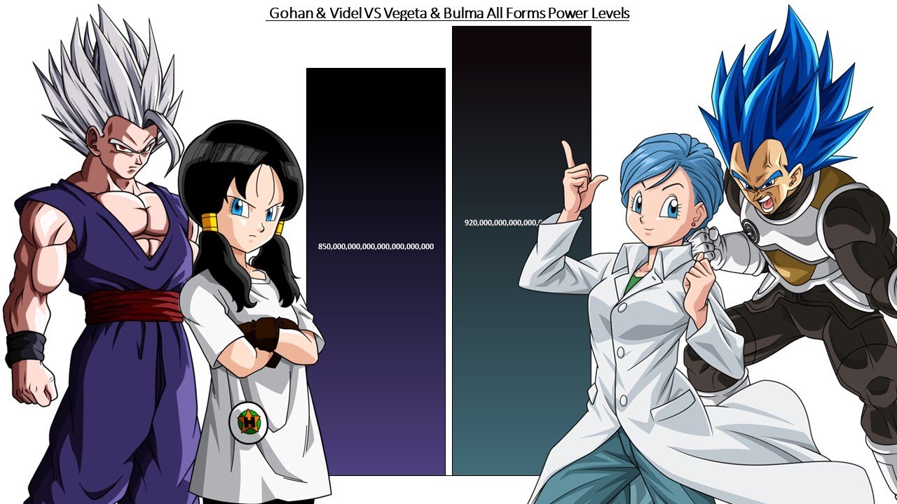 Gohan & Videl VS Vegeta & Bulma All Forms Power Levels