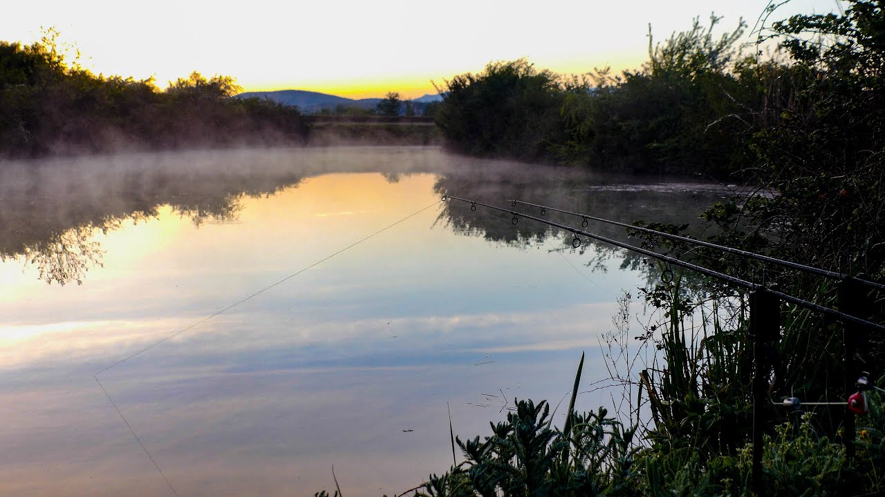 La nuit des pépites ~ Pêche de la carpe sur un contre canal du Rhône