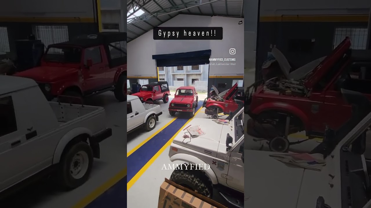 #ammyfied #trending #gypsy #shortsviral #nature #shorts #reels #1million