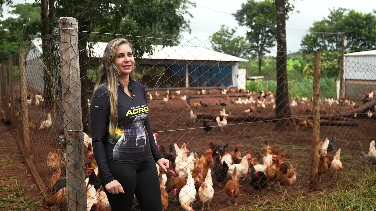 GRANJA CAIPIRA APOSTA EM BIOSSEGURANÇA E PRODUZ 1,2 MIL OVOS DIÁRIOS