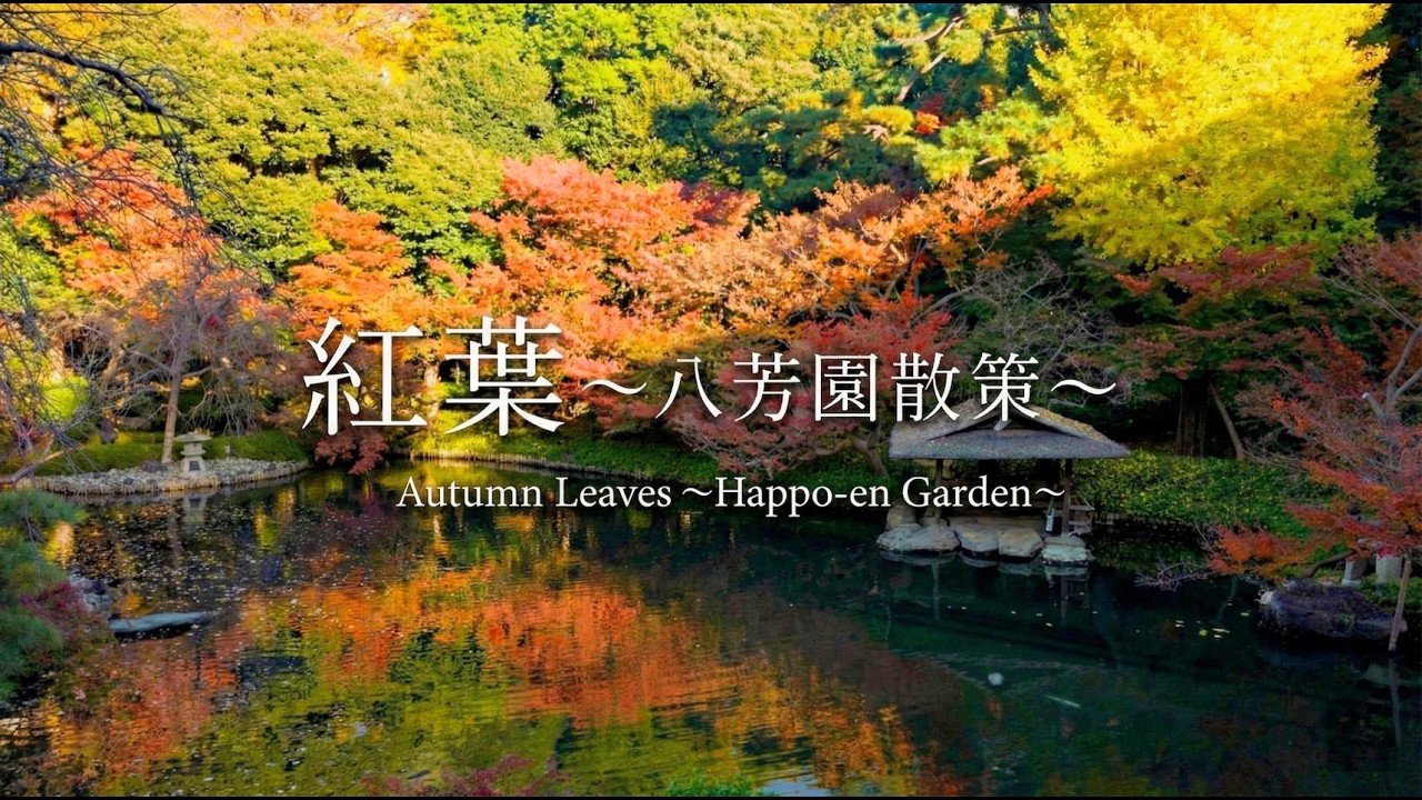 Autumn in Tokyo Relaxing Walk [8K] [ASMR]
