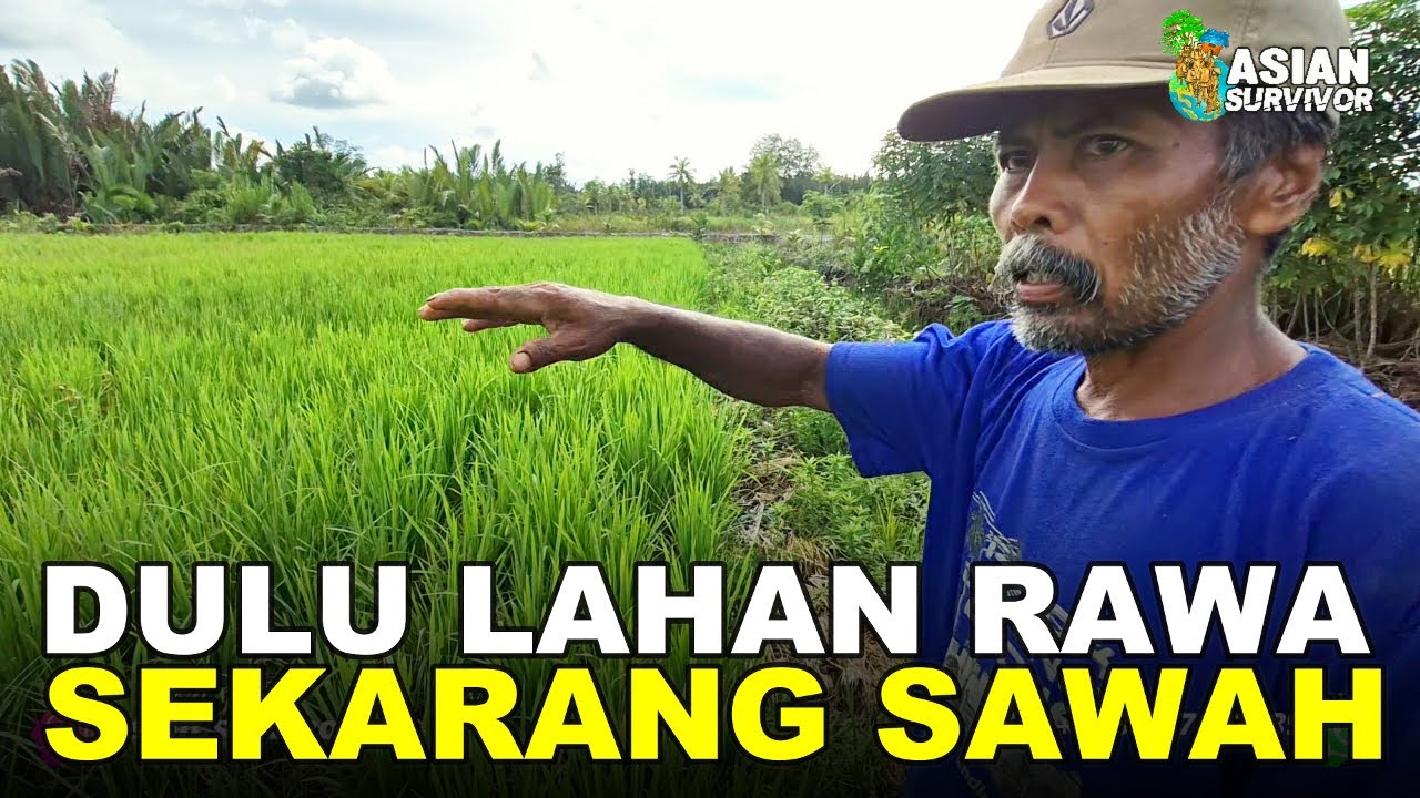 PELUANG DAN TANTANGAN BERTANI DI LAHAN RAWA PESISIR TRANSMIGRASI KALIMANTAN UTARA