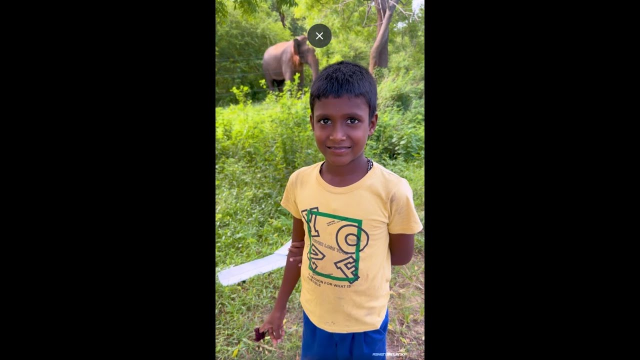 ශිෂ්‍යත්වෙ පාස් වුනාට තෑග්ගක් 🎓