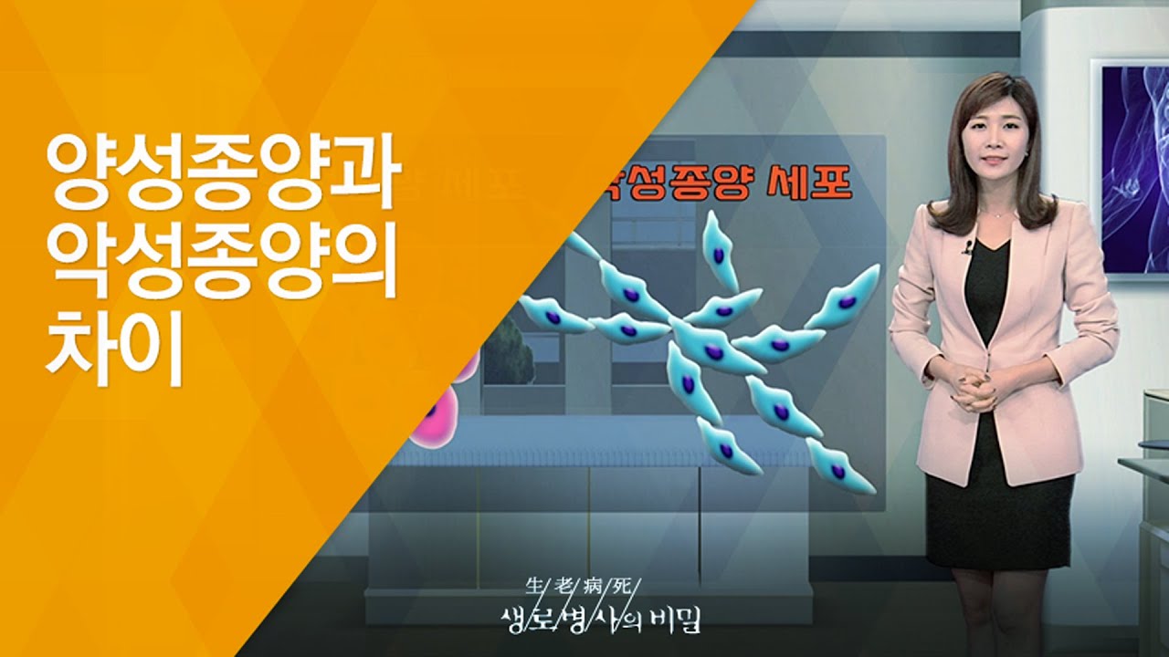 양성종양과 악성종양의 차이 - (20121013_431회 방송)_내 몸에 혹이 자란다, 양성종양