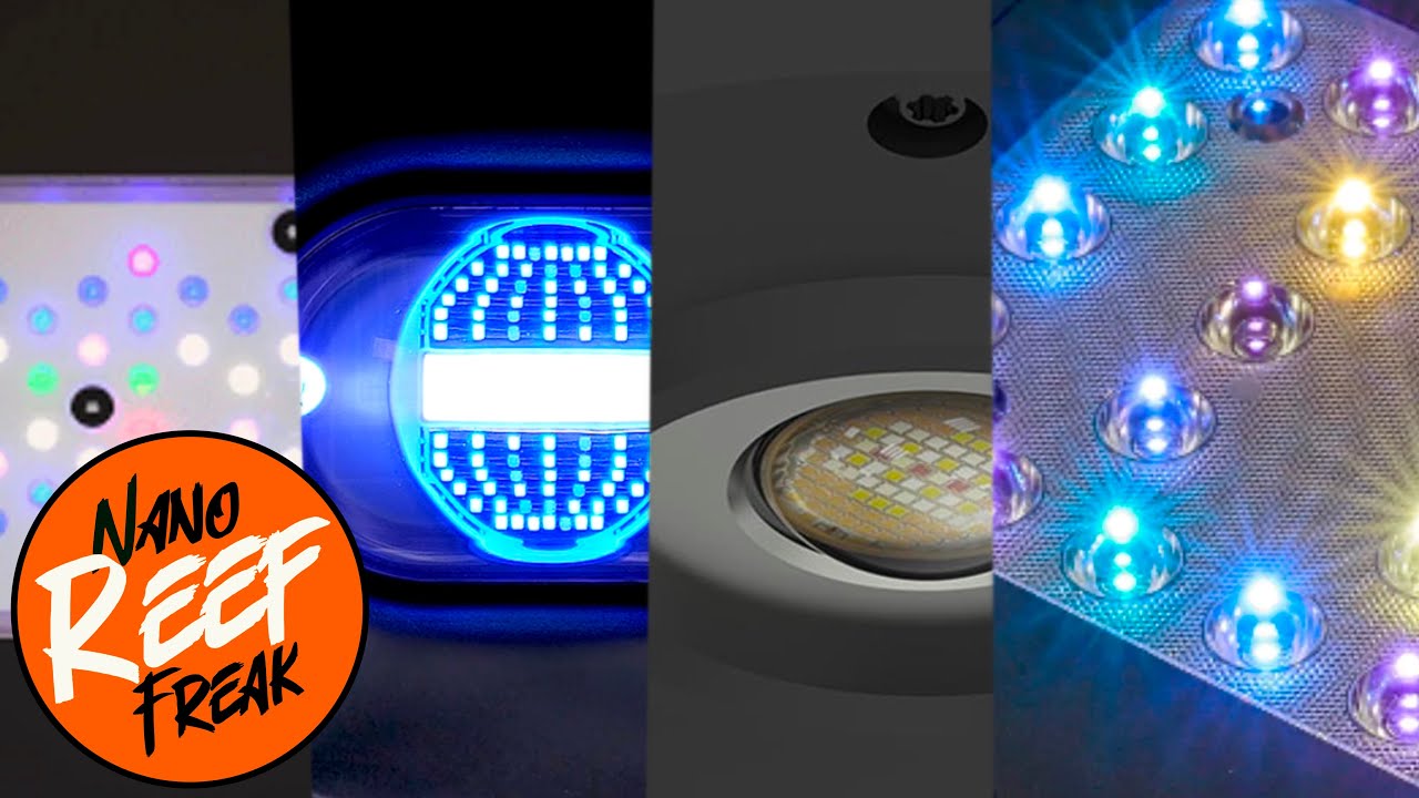 How To Choose The Best Lighting for Your Reef Aquarium - My Thoughts & Opinions