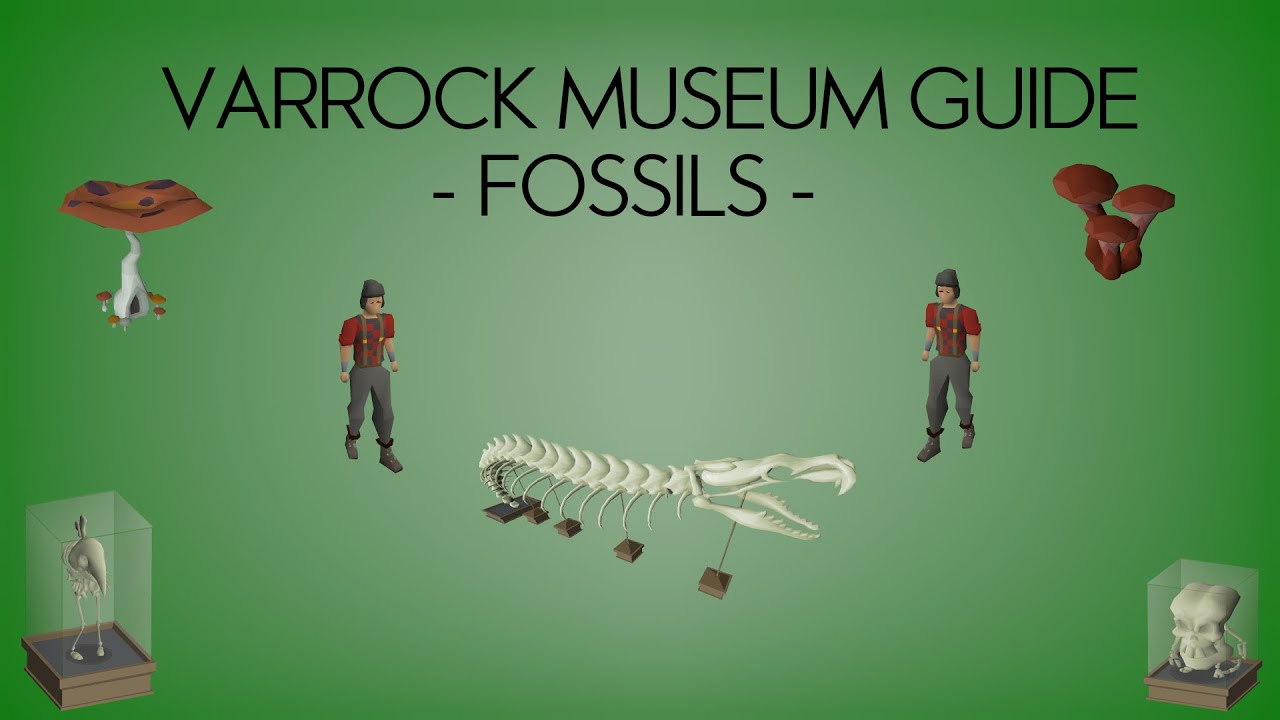 OSRS | Ironman Fossil Island WC Guide |