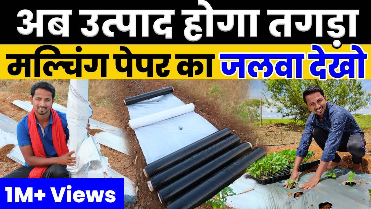 Mulching Paper के फायदे ही फायदे😱💯A to Z जानकारी एक ही विडियो में👌🔥Indian Farmer
