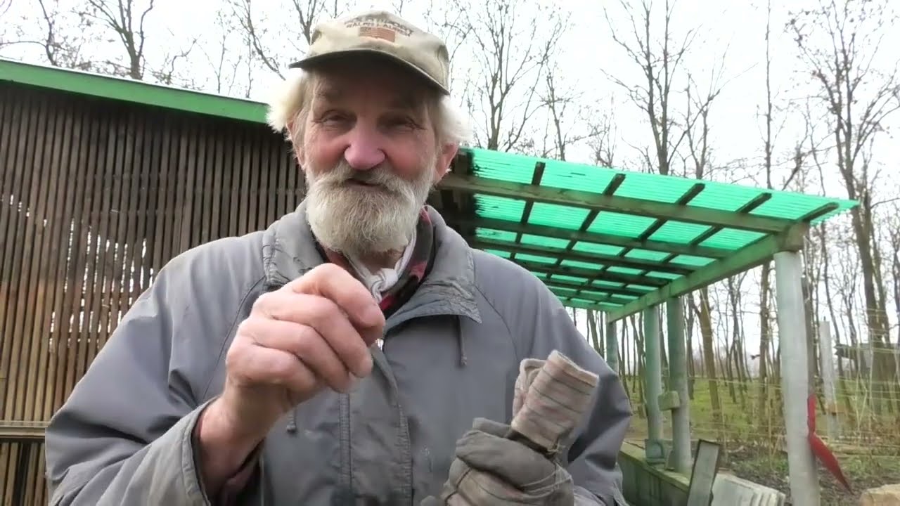 Bugaszegi szösszenetek - A Janibácsi igyekszik