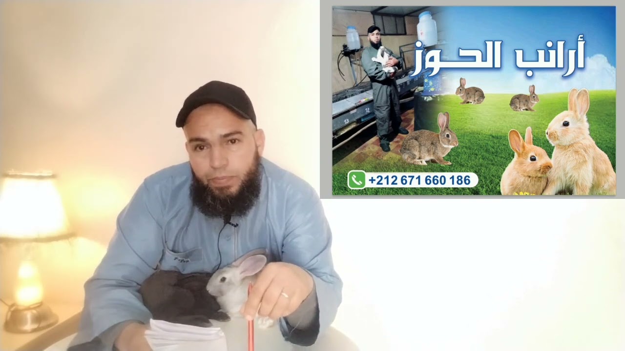 فيديو مهم ومفيد في مشروع التربيه الارانب