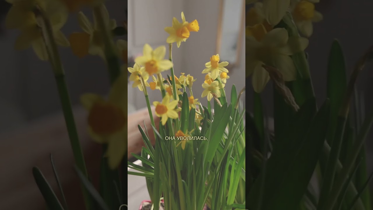 Клумба на кухне  #материнсво #romanticizinglife #diy #интерьер #ghibliart