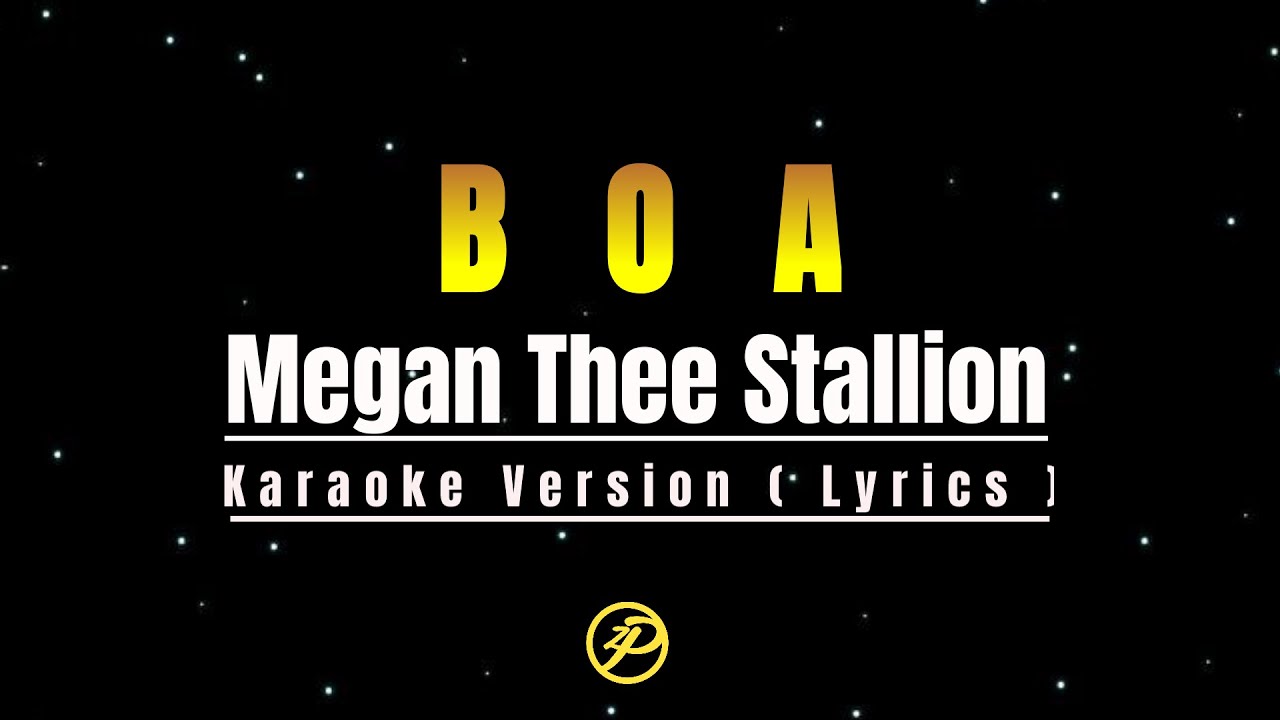 Megan Thee Stallion - BOA - Karaoke Instrumental Lyrics