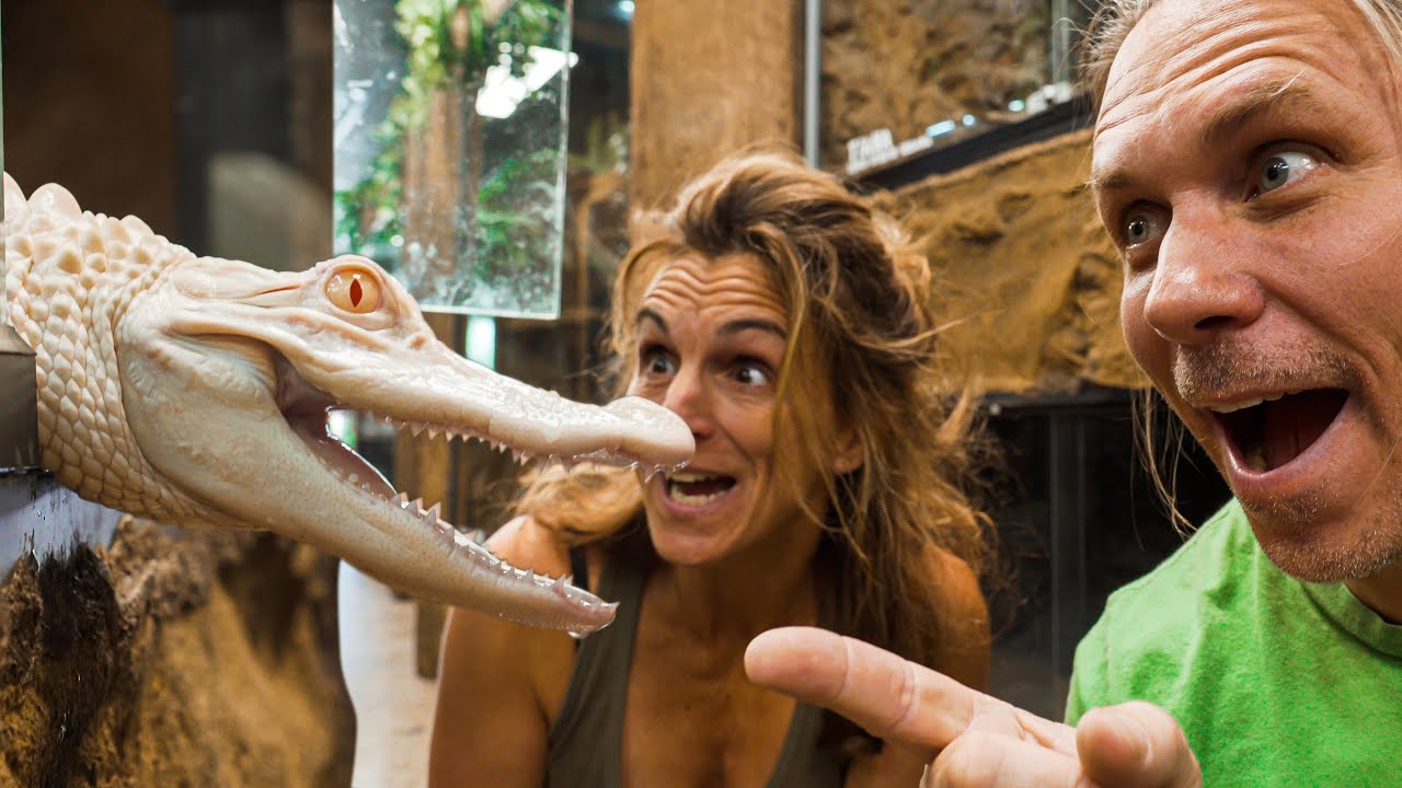 I MADE HER HANDLE MY ALBINO ALLIGATOR!! DIDN'T GO WELL!! | BRIAN BARCZYK