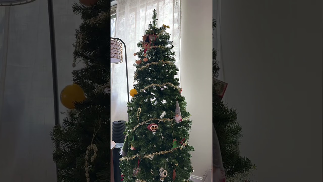 Finally taking our Christmas tree down! 