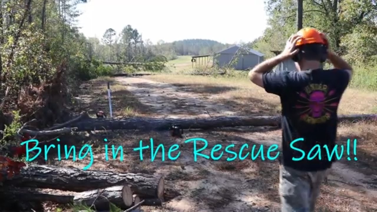 #12 Emergency tree work!!!