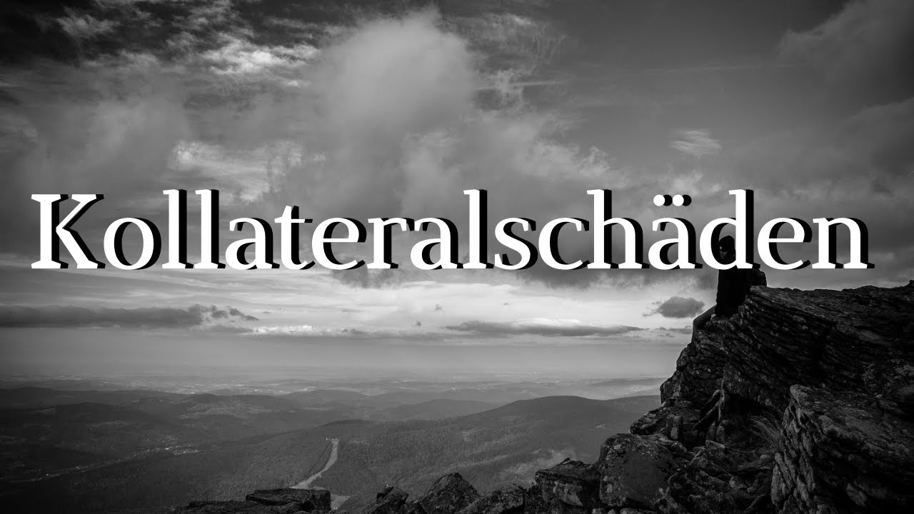 Kollateralsch&auml;den und Sinnfindung (Wandernder Wolf 56)