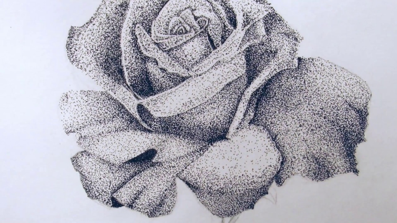 Rose Drawing (Pointillism)