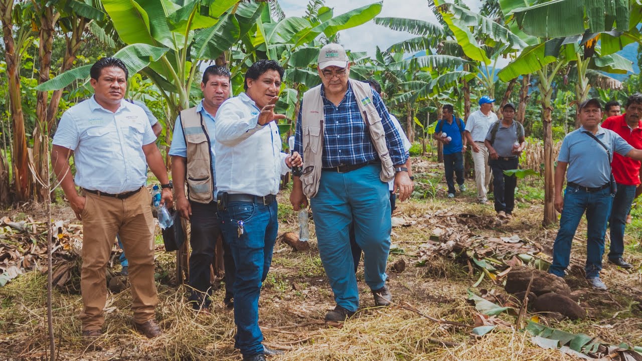 TERCERA JORNADA NACIONAL DE SIEMBRA / ESCUINTLA CHIAPAS 2022 
