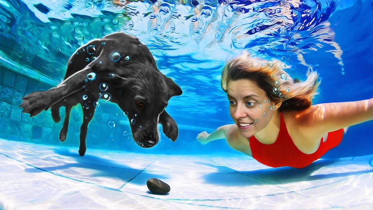 🐶 ICE prima dată în PISCINĂ 🌊  REACȚIA EI 😱