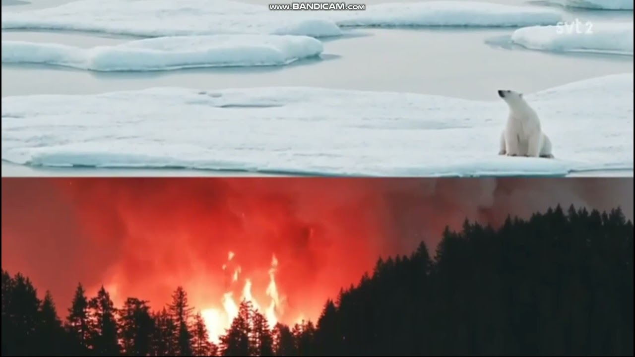 SVT Aktuellt Intro (2020)