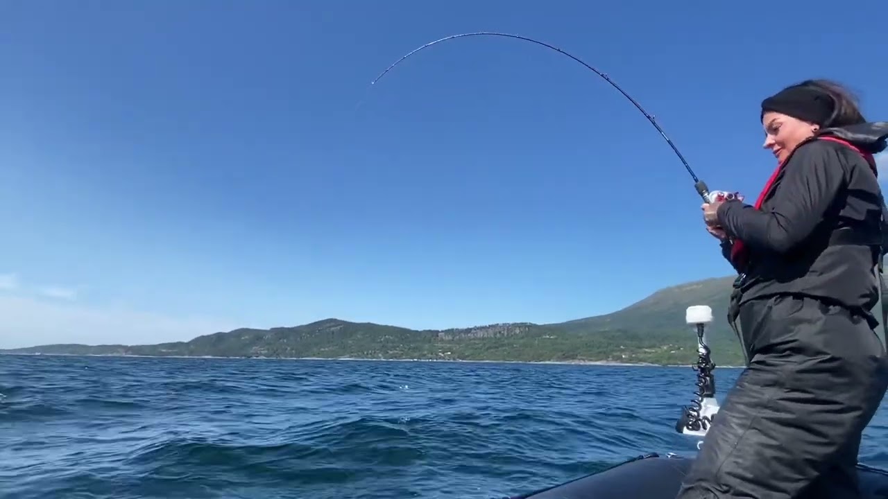 Norwegen Halsafjorden Seelachs Speedpilken