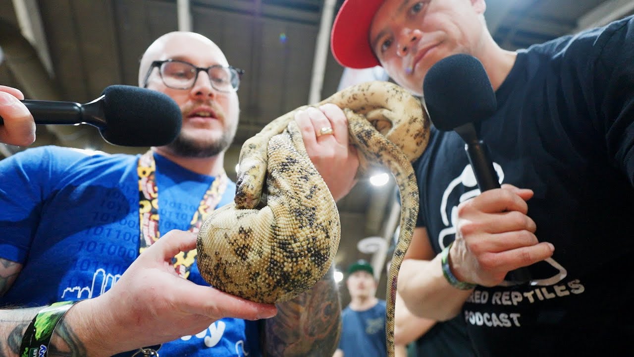 What REALLY happened at the Reptile Super Show with @Wickens Wicked Reptiles