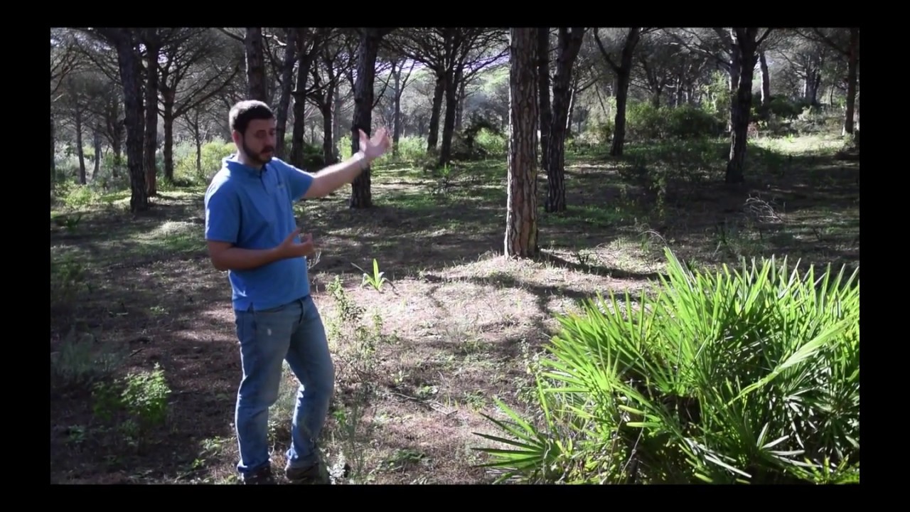 Natural Park la Breña and the Saltmarshes of Barbate