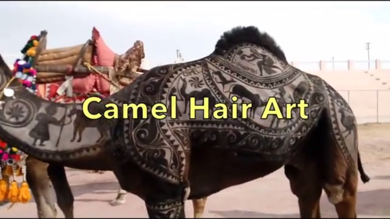 Rajasthani Camel Festival