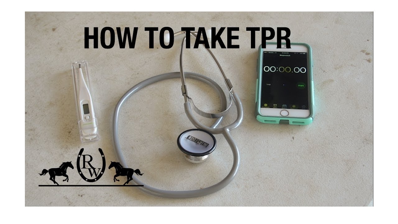 How to Take a Horse's TPR