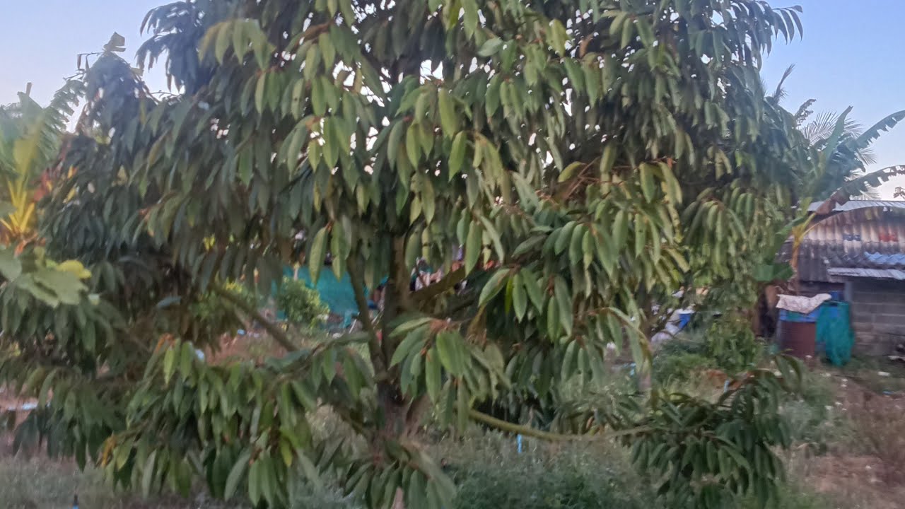 ดินฟ้าอากาศไม่เป็นใจมาดูกันว่าเป็นอย่างไร