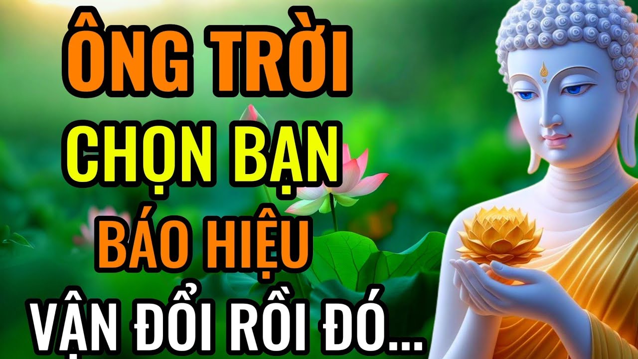 3 Dấu Hiệu Trời Đang Chọn Bạn – Phúc Mở, Vận Đổi Mà Ít Người Nhận Ra