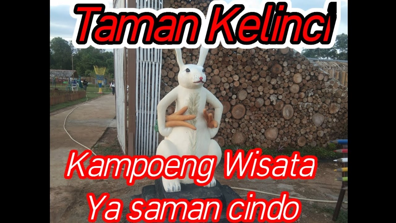 TAMAN KELINCI KAMPOENG YASAMAN CINDO || TAMAN KELINCI RAWA BORANG || PART 1. @paiditpoenya3146