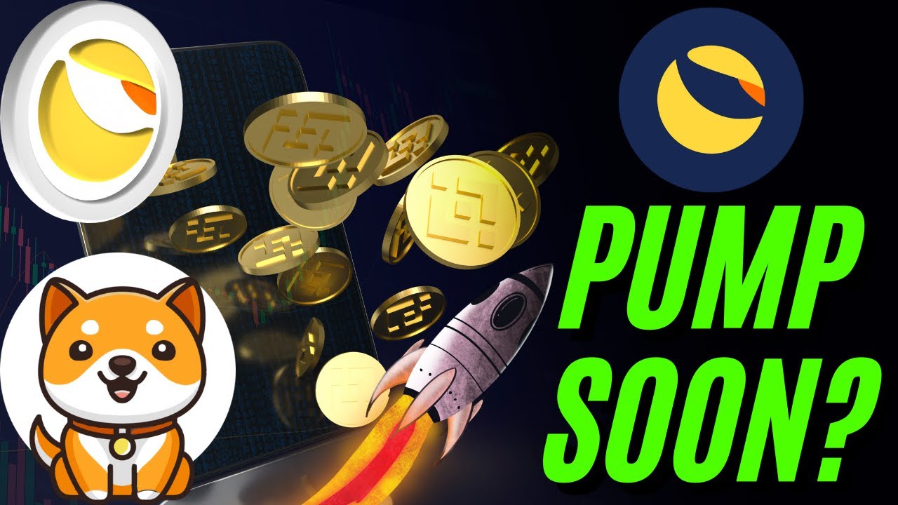 LUNC HOLDERS | BABY DOGE HOLDERS | BEWARE OF THIS DANGER!
