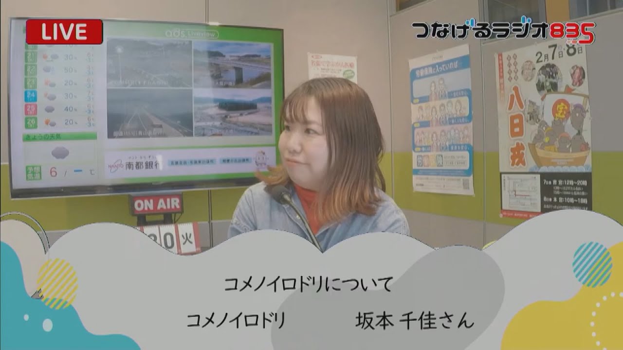 コメノイロドリをご紹介！